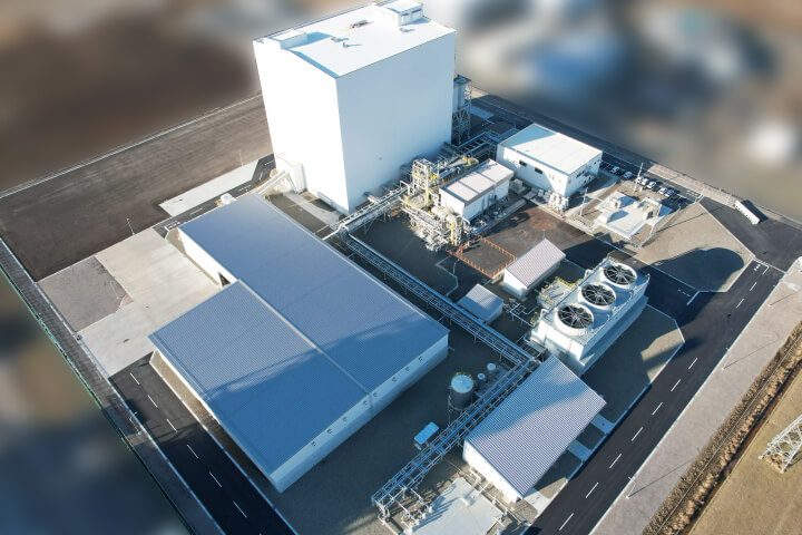 ABOUT BIOMASS